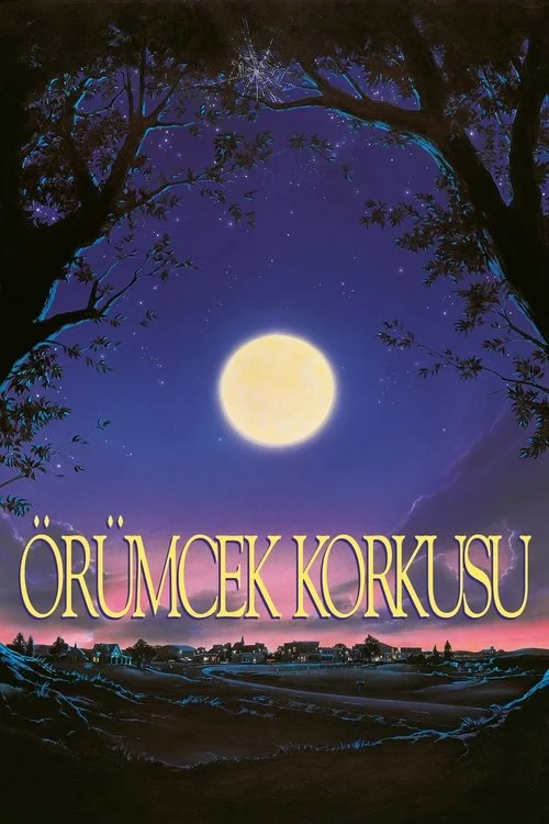 Örümcek Korkusu
